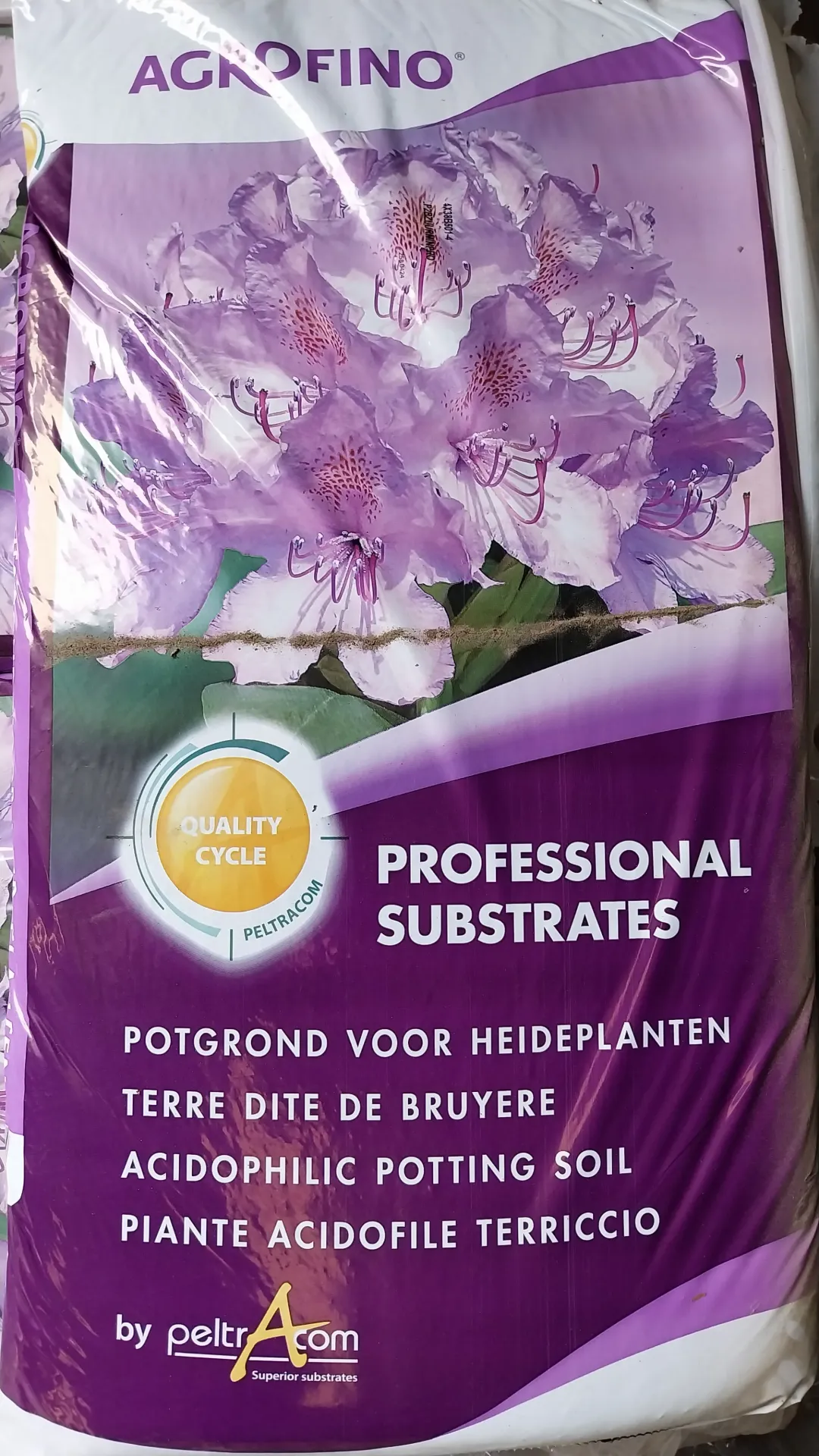 [PRH40] POTGROND RHODODENDRON EN HEIDE