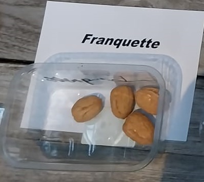 [JRFRH8] NOIX 'FRANQUETTE' HAUTE-TIGE (8-10 cm)
